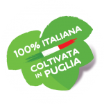 Cotton Candy - Italiana