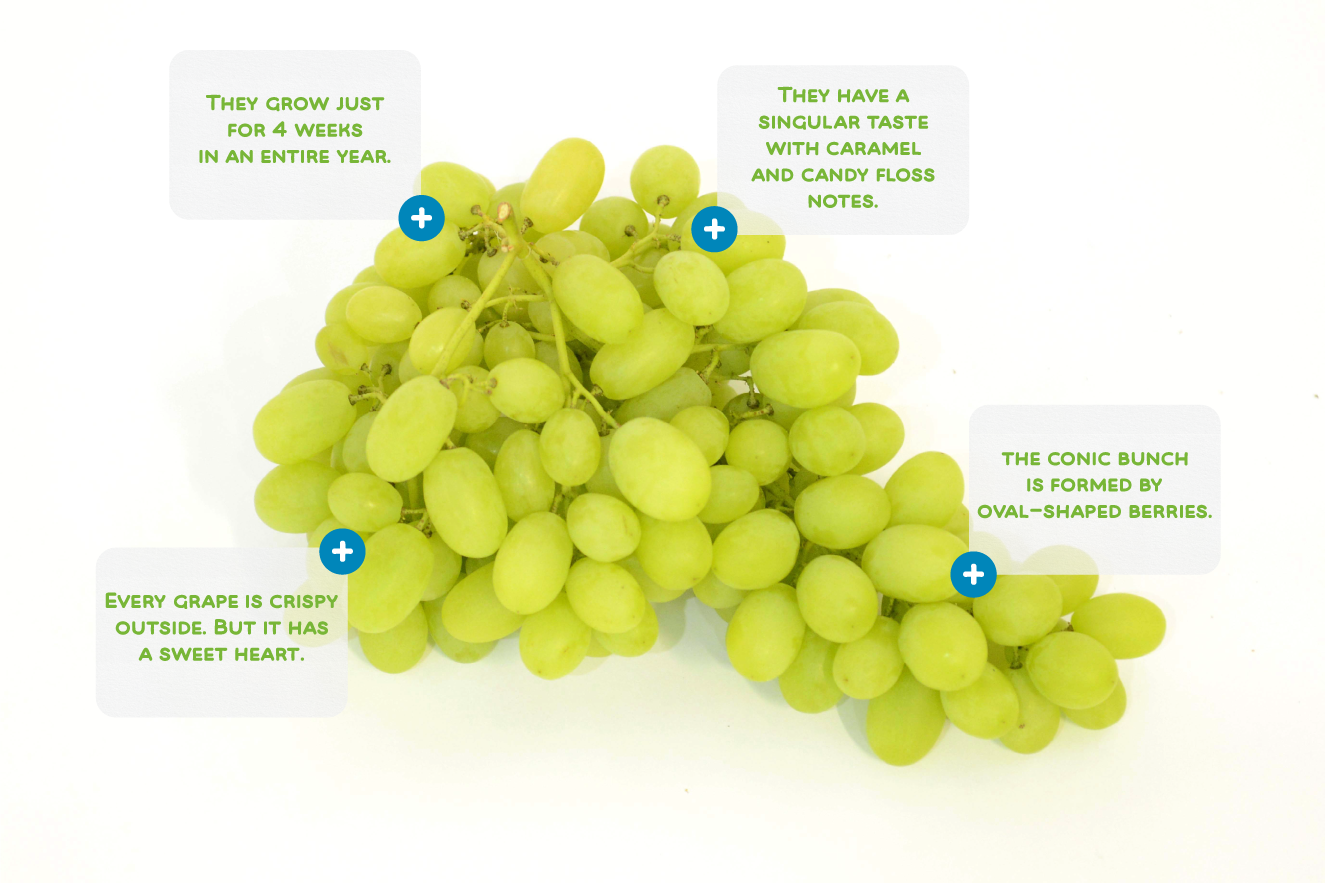 Discover Cotton Candy Grapes